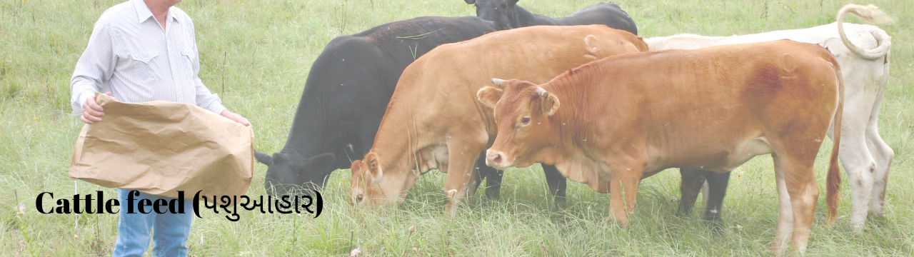 cattlefeed