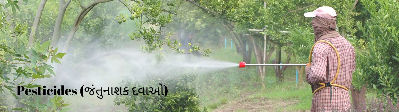 You are currently viewing નેનો યુરિયા : નેનો યુરિયા એ કેન્દ્રની શક્તિ છે.